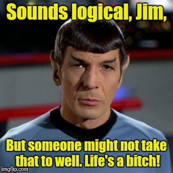 Spock #1 | Sounds logical, Jim, But someone might not take that to well. Life's a b**ch! | image tagged in spock 1 | made w/ Imgflip meme maker