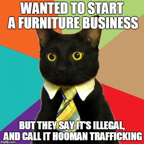 Business Cat | WANTED TO START A FURNITURE BUSINESS BUT THEY SAY IT'S ILLEGAL, AND CALL IT HOOMAN TRAFFICKING | image tagged in memes,business cat | made w/ Imgflip meme maker