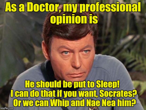 McCoy #2 | As a Doctor, my professional opinion is He should be put to Sleep!  I can do that if you want, Socrates?  Or we can Whip and Nae Nea him? | image tagged in mccoy 2 | made w/ Imgflip meme maker