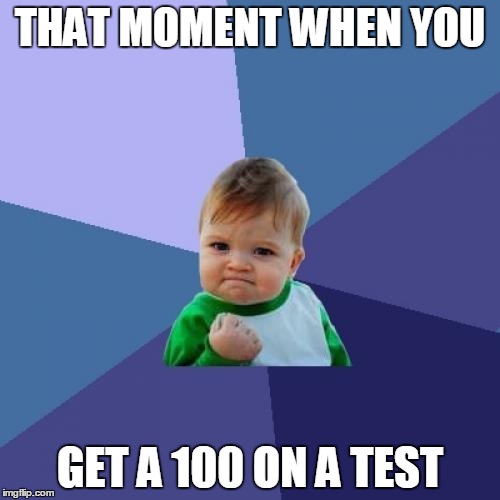 Success Kid | THAT MOMENT WHEN YOU GET A 100 ON A TEST | image tagged in memes,success kid | made w/ Imgflip meme maker