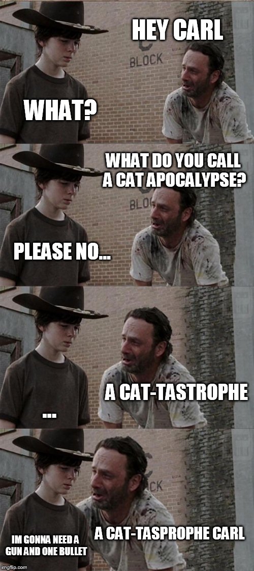 Rick and Carl Long | HEY CARL WHAT? WHAT DO YOU CALL A CAT APOCALYPSE? PLEASE NO... A CAT-TASTROPHE ... A CAT-TASPROPHE CARL IM GONNA NEED A GUN AND ONE BULLET | image tagged in memes,rick and carl long | made w/ Imgflip meme maker