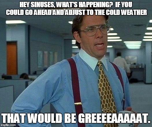 That Would Be Great | HEY SINUSES, WHAT'S HAPPENING?  IF YOU COULD GO AHEAD AND ADJUST TO THE COLD WEATHER THAT WOULD BE GREEEEAAAAAT. | image tagged in memes,that would be great | made w/ Imgflip meme maker