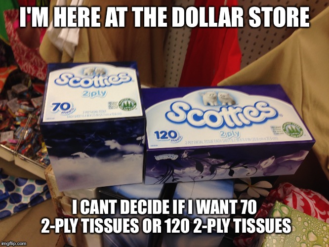 Dollar Tree Logic | I'M HERE AT THE DOLLAR STORE I CANT DECIDE IF I WANT 70 2-PLY TISSUES OR 120 2-PLY TISSUES | image tagged in memes | made w/ Imgflip meme maker