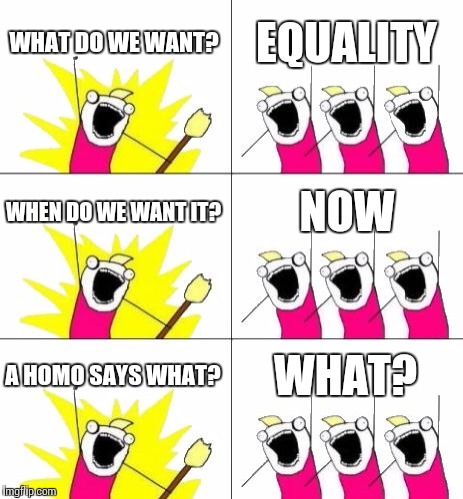 What Do We Want 3 Meme | WHAT DO WE WANT? EQUALITY WHEN DO WE WANT IT? NOW A HOMO SAYS WHAT? WHAT? | image tagged in memes,what do we want 3 | made w/ Imgflip meme maker