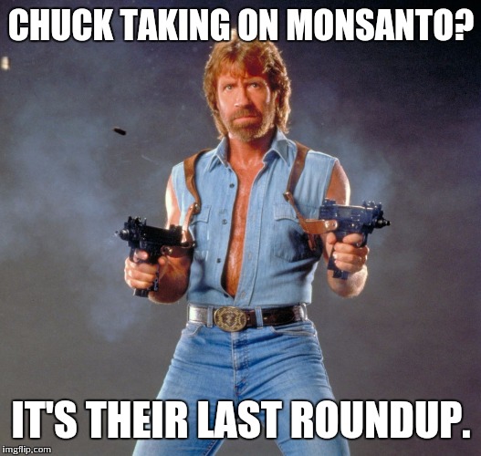 Chuck Norris Guns | CHUCK TAKING ON MONSANTO? IT'S THEIR LAST ROUNDUP. | image tagged in chuck norris | made w/ Imgflip meme maker