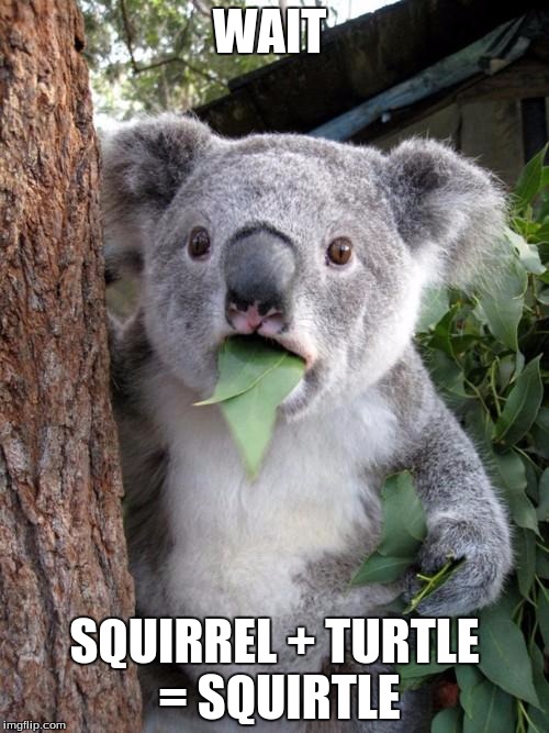 Surprised Koala | WAIT SQUIRREL + TURTLE = SQUIRTLE | image tagged in memes,surprised koala | made w/ Imgflip meme maker