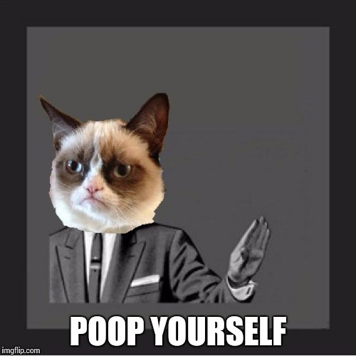 Grumpy cat kill yourself | POOP YOURSELF | image tagged in grumpy cat kill yourself | made w/ Imgflip meme maker