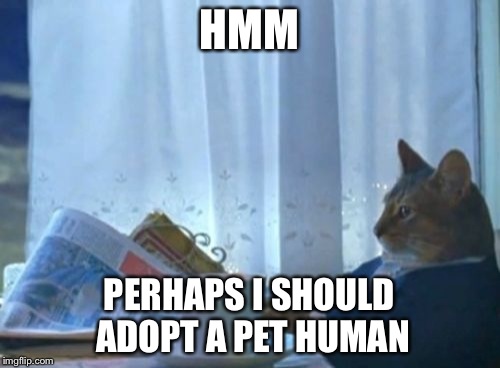 I Should Buy A Boat Cat | HMM PERHAPS I SHOULD ADOPT A PET HUMAN | image tagged in memes,i should buy a boat cat | made w/ Imgflip meme maker