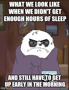 Grouchy Panda Bear | WHAT WE LOOK LIKE WHEN WE DIDN'T GET ENOUGH HOURS OF SLEEP AND STILL HAVE TO GET UP EARLY IN THE MORNING | image tagged in we bare bears | made w/ Imgflip meme maker