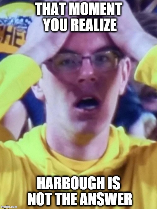 THAT MOMENT YOU REALIZE HARBOUGH IS NOT THE ANSWER | image tagged in wolverine,michigan | made w/ Imgflip meme maker