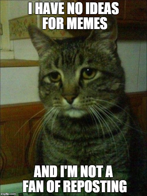 Depressed Cat Meme | I HAVE NO IDEAS FOR MEMES AND I'M NOT A FAN OF REPOSTING | image tagged in memes,depressed cat | made w/ Imgflip meme maker
