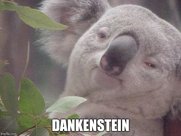 Dank Koala | DANKENSTEIN | image tagged in dank koala | made w/ Imgflip meme maker