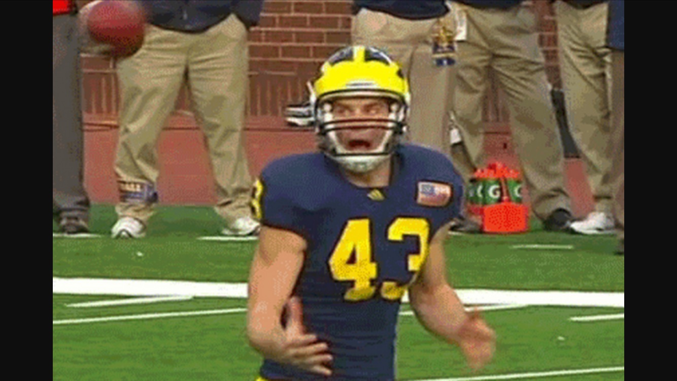 High Quality Michigan punt Blank Meme Template