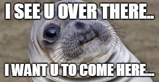 Akward moment seal | I SEE U OVER THERE.. I WANT U TO COME HERE... | image tagged in akward moment seal | made w/ Imgflip meme maker