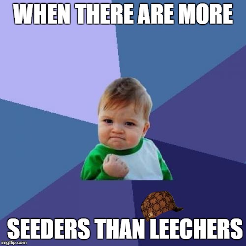 Success Kid | WHEN THERE ARE MORE SEEDERS THAN LEECHERS | image tagged in memes,success kid,scumbag | made w/ Imgflip meme maker