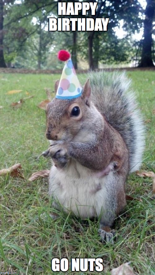 Super Birthday Squirrel | HAPPY BIRTHDAY GO NUTS | image tagged in memes,super birthday squirrel | made w/ Imgflip meme maker