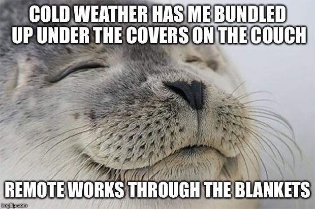 Satisfied Seal | COLD WEATHER HAS ME BUNDLED UP UNDER THE COVERS ON THE COUCH REMOTE WORKS THROUGH THE BLANKETS | image tagged in memes,satisfied seal,AdviceAnimals | made w/ Imgflip meme maker