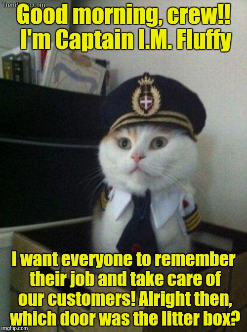 Captain Fluffy always found it important to have a little pep talk with the crew before the flight........ | Good morning, crew!! I'm Captain I.M. Fluffy I want everyone to remember their job and take care of our customers! Alright then, which door  | image tagged in captain cat,funny memes,meme | made w/ Imgflip meme maker