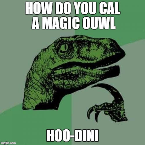 Philosoraptor Meme | HOW DO YOU CAL A MAGIC OUWL HOO-DINI | image tagged in memes,philosoraptor | made w/ Imgflip meme maker