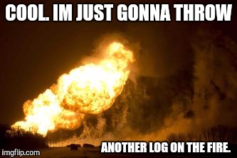 COOL. IM JUST GONNA THROW ANOTHER LOG ON THE FIRE. | made w/ Imgflip meme maker