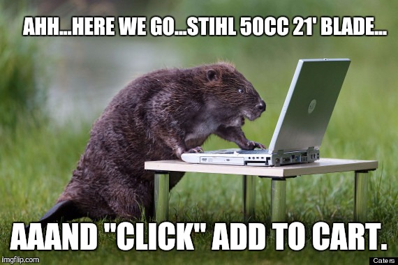 Industrious little beaver | AHH...HERE WE GO...STIHL 50CC 21' BLADE... AAAND "CLICK" ADD TO CART. | image tagged in memes | made w/ Imgflip meme maker