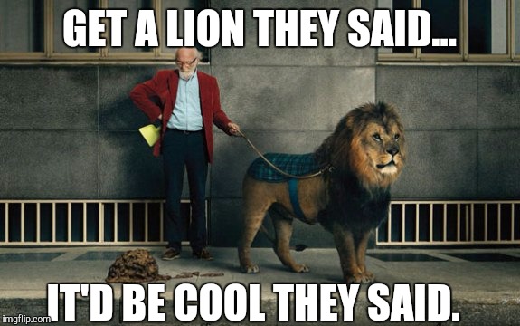 Lion piece of crap | GET A LION THEY SAID... IT'D BE COOL THEY SAID. | image tagged in memes | made w/ Imgflip meme maker