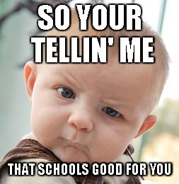 Skeptical Baby | SO YOUR TELLIN' ME THAT SCHOOLS GOOD FOR YOU | image tagged in memes,skeptical baby | made w/ Imgflip meme maker