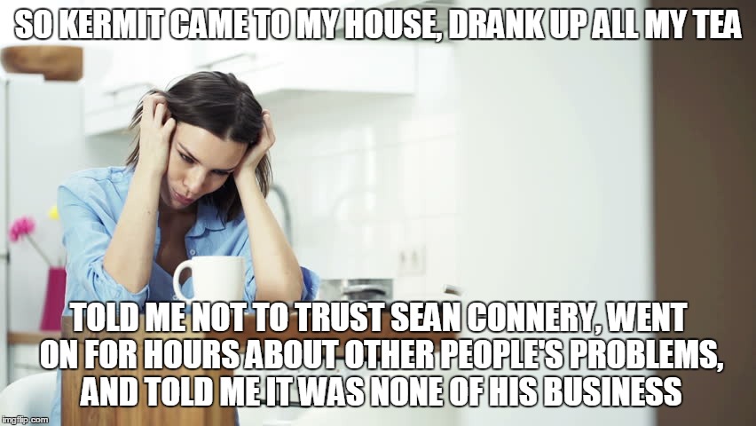 But that's none of my business | SO KERMIT CAME TO MY HOUSE, DRANK UP ALL MY TEA TOLD ME NOT TO TRUST SEAN CONNERY, WENT ON FOR HOURS ABOUT OTHER PEOPLE'S PROBLEMS, AND TOLD | image tagged in woman in kitchen,memes,kermit vs connery,but thats none of my business,kermit the frog,lipton | made w/ Imgflip meme maker