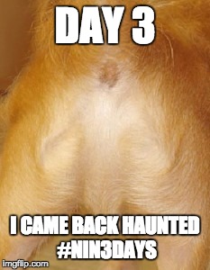DAY 3 I CAME BACK HAUNTED #NIN3DAYS | image tagged in came back haunted | made w/ Imgflip meme maker