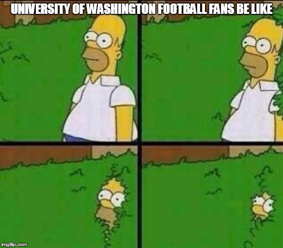 Homer Simpson in Bush - Large | UNIVERSITY OF WASHINGTON FOOTBALL FANS BE LIKE | image tagged in homer simpson in bush - large | made w/ Imgflip meme maker