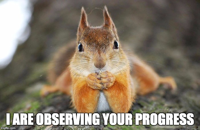 squirrel lets see | I ARE OBSERVING YOUR PROGRESS | image tagged in squirrel lets see | made w/ Imgflip meme maker