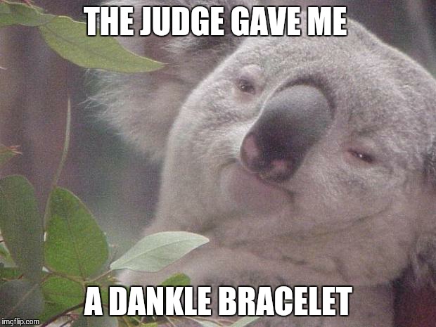 Dank Koala | THE JUDGE GAVE ME A DANKLE BRACELET | image tagged in dank koala | made w/ Imgflip meme maker