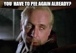 Fargo Killer | YOU  HAVE TO PEE AGAIN ALREADY? | image tagged in fargo killer | made w/ Imgflip meme maker