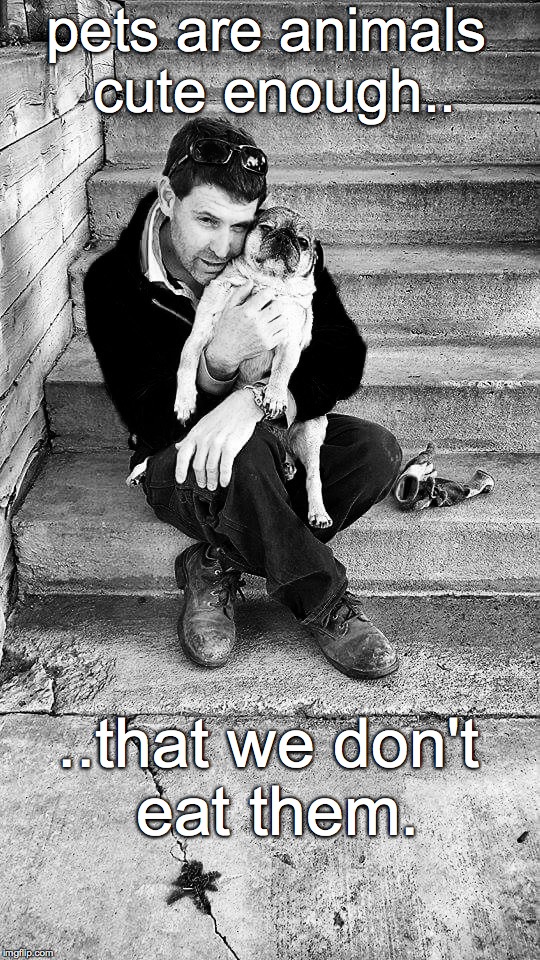 i could just eat you up | pets are animals cute enough.. ..that we don't eat them. | image tagged in dogs,pets | made w/ Imgflip meme maker