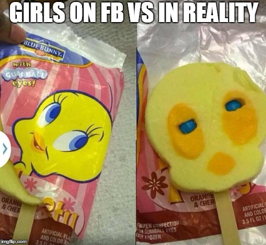 GIRLS ON FB VS IN REALITY | image tagged in duck | made w/ Imgflip meme maker