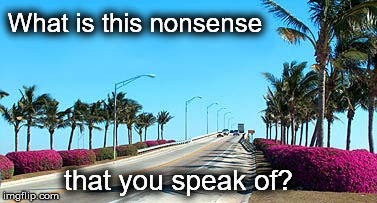 What is this nonsense that you speak of? | image tagged in florida hwy | made w/ Imgflip meme maker