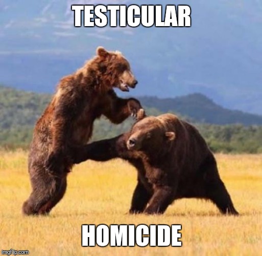 Bear punch | TESTICULAR HOMICIDE | image tagged in bear punch | made w/ Imgflip meme maker