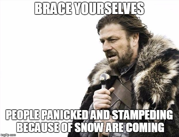 Brace Yourselves X is Coming | BRACE YOURSELVES PEOPLE PANICKED AND STAMPEDING BECAUSE OF SNOW ARE COMING | image tagged in memes,brace yourselves x is coming | made w/ Imgflip meme maker
