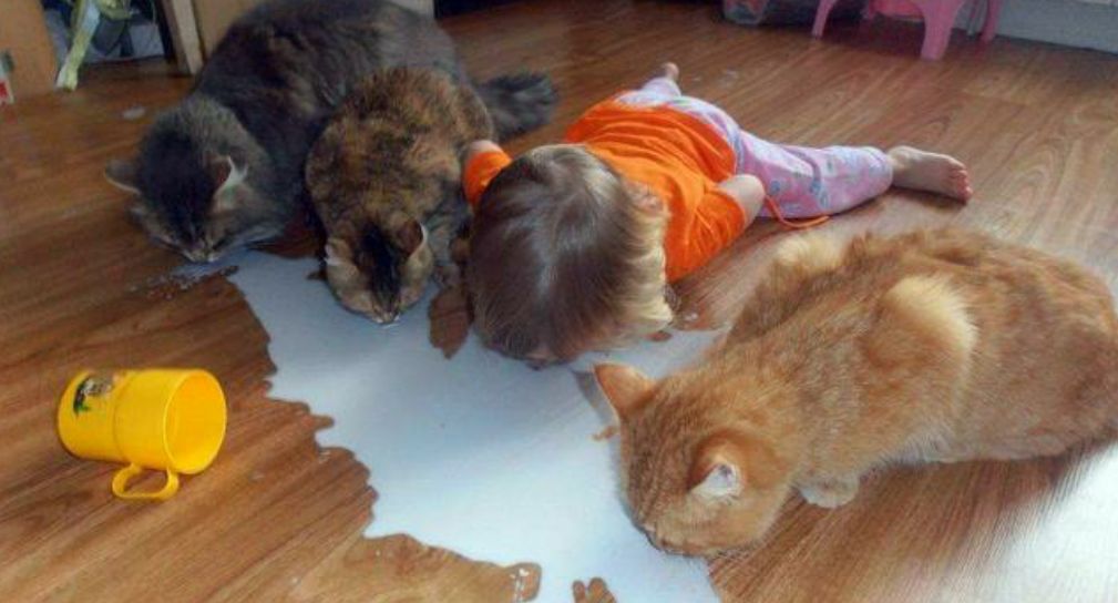 they still suspect nothing Blank Meme Template