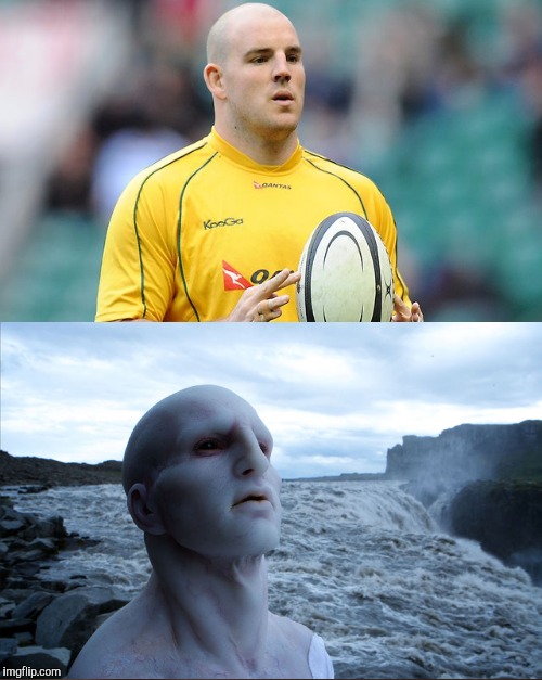 Stephen moore | image tagged in rugby,australia,memes | made w/ Imgflip meme maker