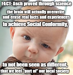 Skeptical Baby | FACT: Asch proved through science to achieve Social Conformity, the brain will actually overwrite and erase real facts and experiences to no | image tagged in memes,skeptical baby | made w/ Imgflip meme maker