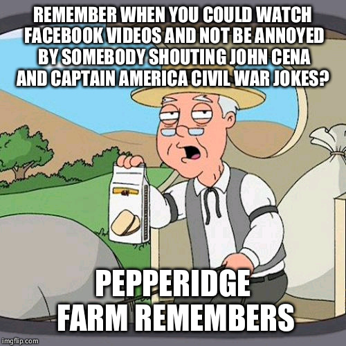 Pepperidge Farm Remembers Meme | REMEMBER WHEN YOU COULD WATCH FACEBOOK VIDEOS AND NOT BE ANNOYED BY SOMEBODY SHOUTING JOHN CENA AND CAPTAIN AMERICA CIVIL WAR JOKES? PEPPERI | image tagged in memes,pepperidge farm remembers | made w/ Imgflip meme maker