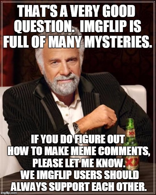 The Most Interesting Man In The World Meme | THAT'S A VERY GOOD QUESTION.  IMGFLIP IS FULL OF MANY MYSTERIES. IF YOU DO FIGURE OUT HOW TO MAKE MEME COMMENTS, PLEASE LET ME KNOW.  WE IMG | image tagged in memes,the most interesting man in the world | made w/ Imgflip meme maker