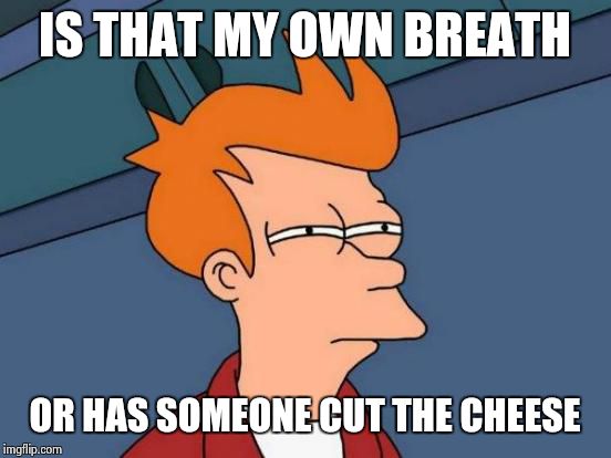 Futurama Fry Meme | IS THAT MY OWN BREATH OR HAS SOMEONE CUT THE CHEESE | image tagged in memes,futurama fry | made w/ Imgflip meme maker