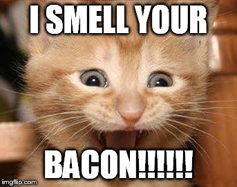 Excited Cat Meme | I SMELL YOUR BACON!!!!!! | image tagged in memes,excited cat | made w/ Imgflip meme maker