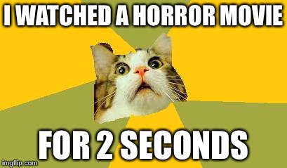 scaredy cat img | I WATCHED A HORROR MOVIE FOR 2 SECONDS | image tagged in scaredy cat img | made w/ Imgflip meme maker