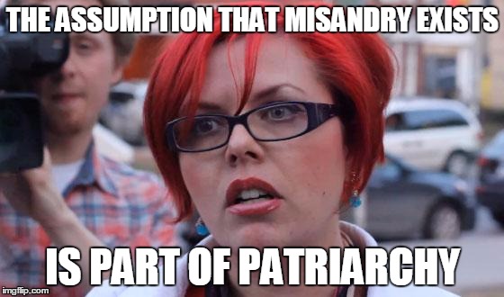 part of patriarchy | THE ASSUMPTION THAT MISANDRY EXISTS IS PART OF PATRIARCHY | image tagged in big red feminist | made w/ Imgflip meme maker