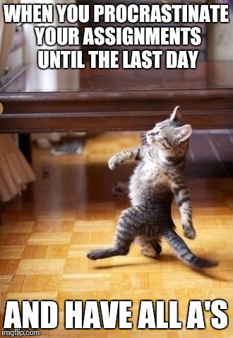 Cool Cat Stroll | WHEN YOU PROCRASTINATE YOUR ASSIGNMENTS UNTIL THE LAST DAY AND HAVE ALL A'S | image tagged in memes,cool cat stroll | made w/ Imgflip meme maker