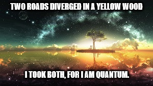 TWO ROADS DIVERGED IN A YELLOW WOOD I TOOK BOTH, FOR I AM QUANTUM. | made w/ Imgflip meme maker