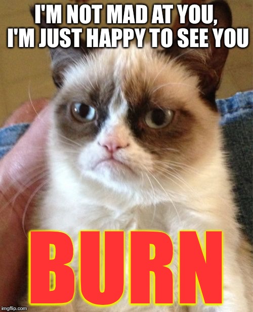 Grumpy Cat | I'M NOT MAD AT YOU, I'M JUST HAPPY TO SEE YOU BURN | image tagged in memes,grumpy cat | made w/ Imgflip meme maker